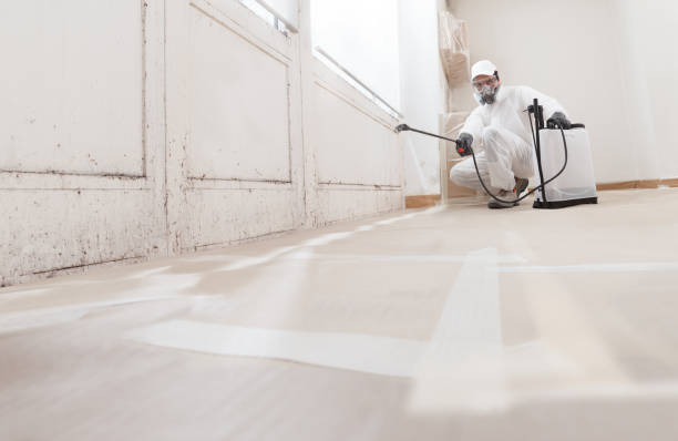24/7 Emergency Black Mold Removal experts in Chester, VA